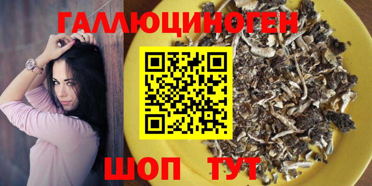 Галлюциногенные грибы Cubensis  Галлюциногенные грибы мицелий  Тосно  Вход с VPN 
